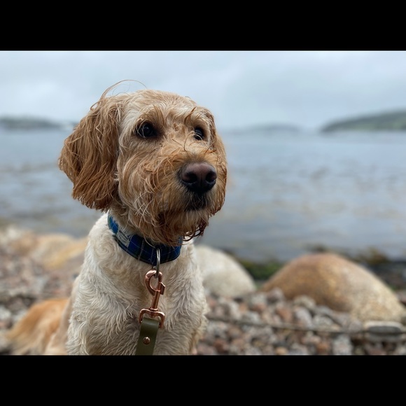 Meet your Posher, Nicolle (📍Halifax, NS) - Picture 5 of 8